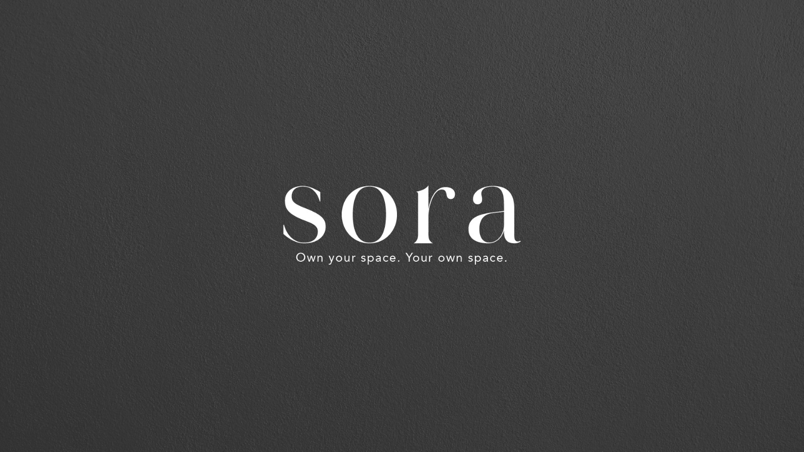 Sora logo (2)